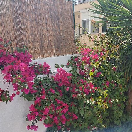 Apartment With Private Garden - Central Location Lisboa Exteriör bild